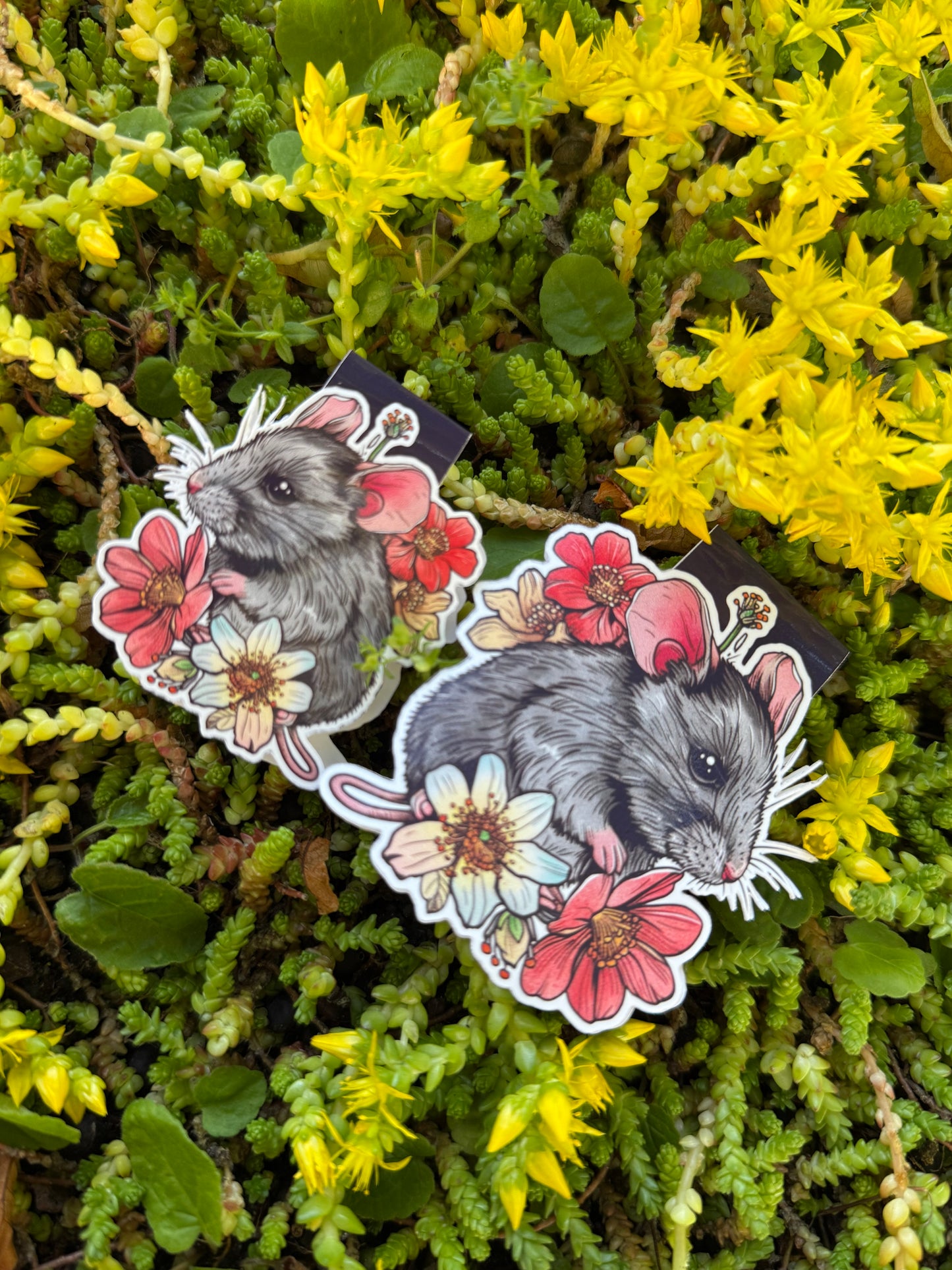 Magnetisk bokmärke Pip & Petal