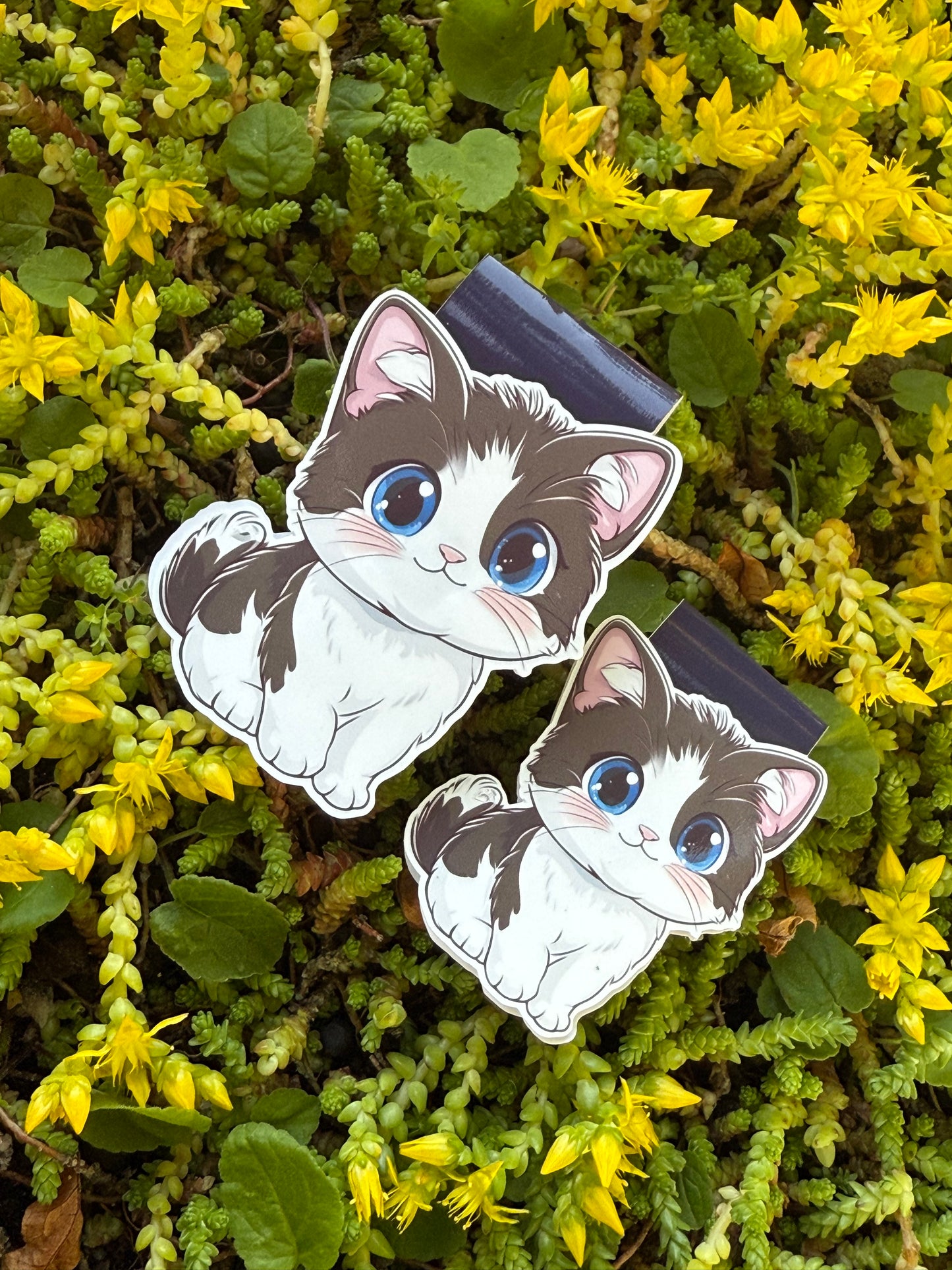 Magnetisk bokmärke Tabby