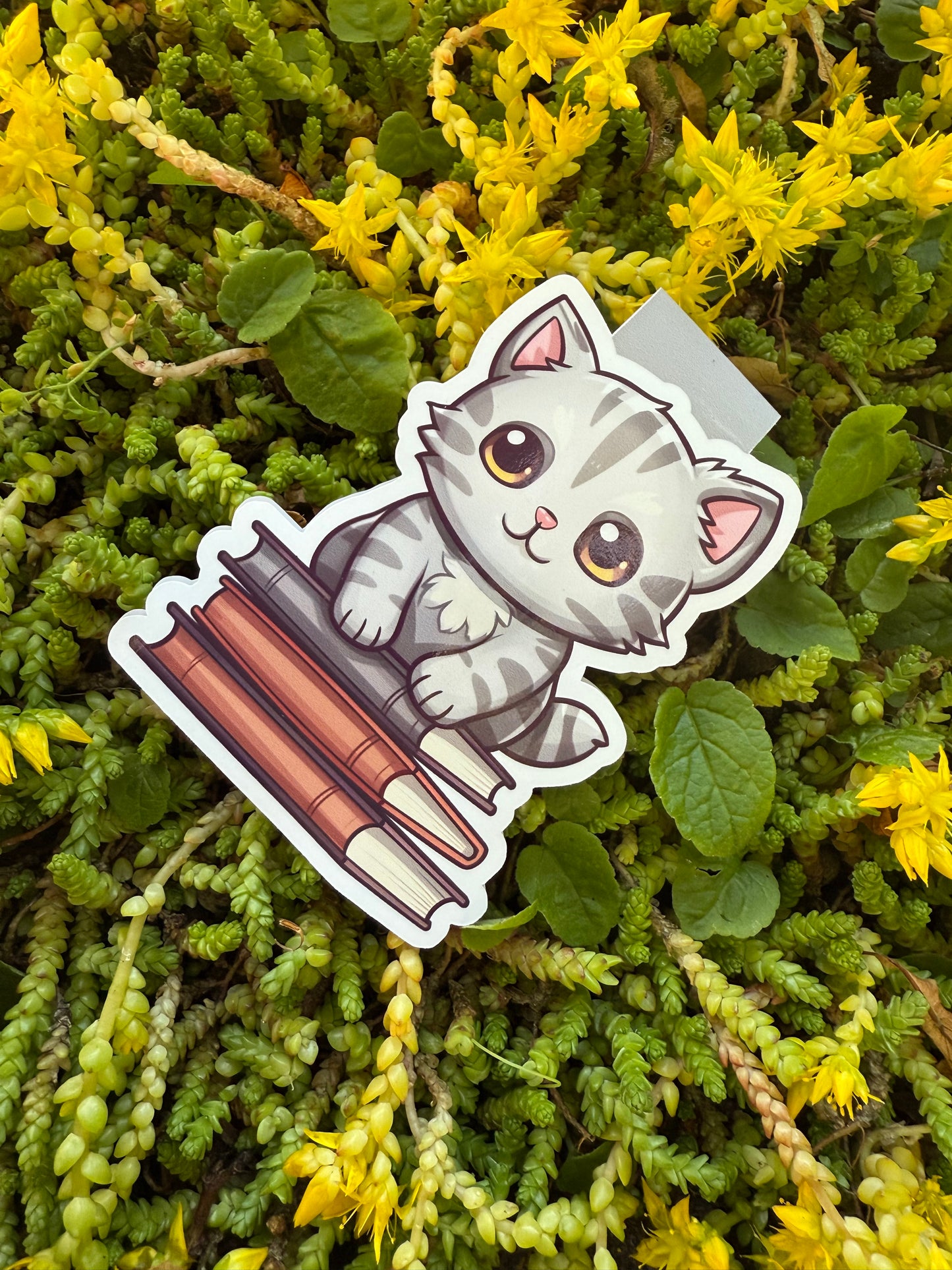 Magnetisk bokmärke - katt