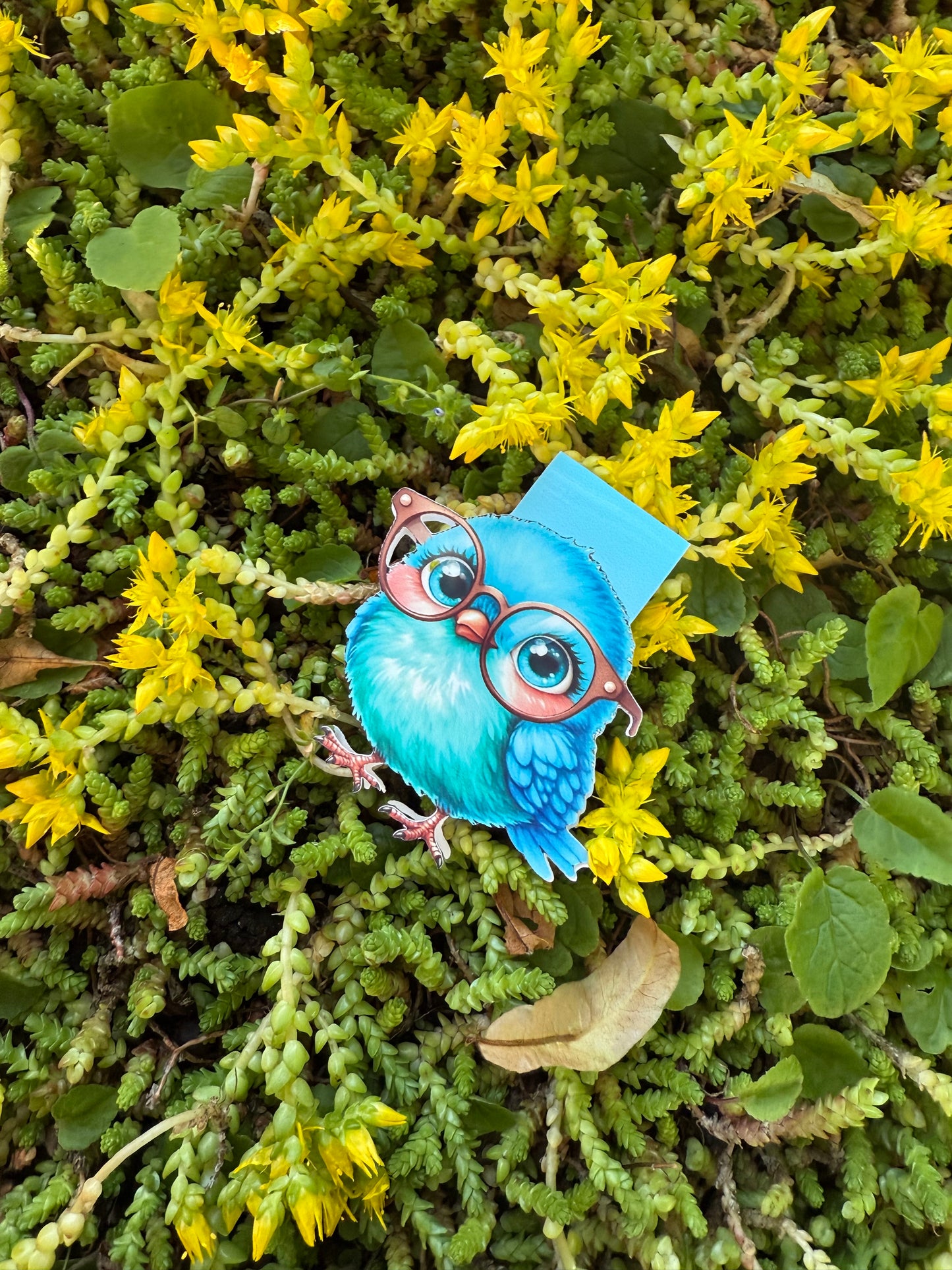Magnetiskt bokmärke - Fröken fjädra