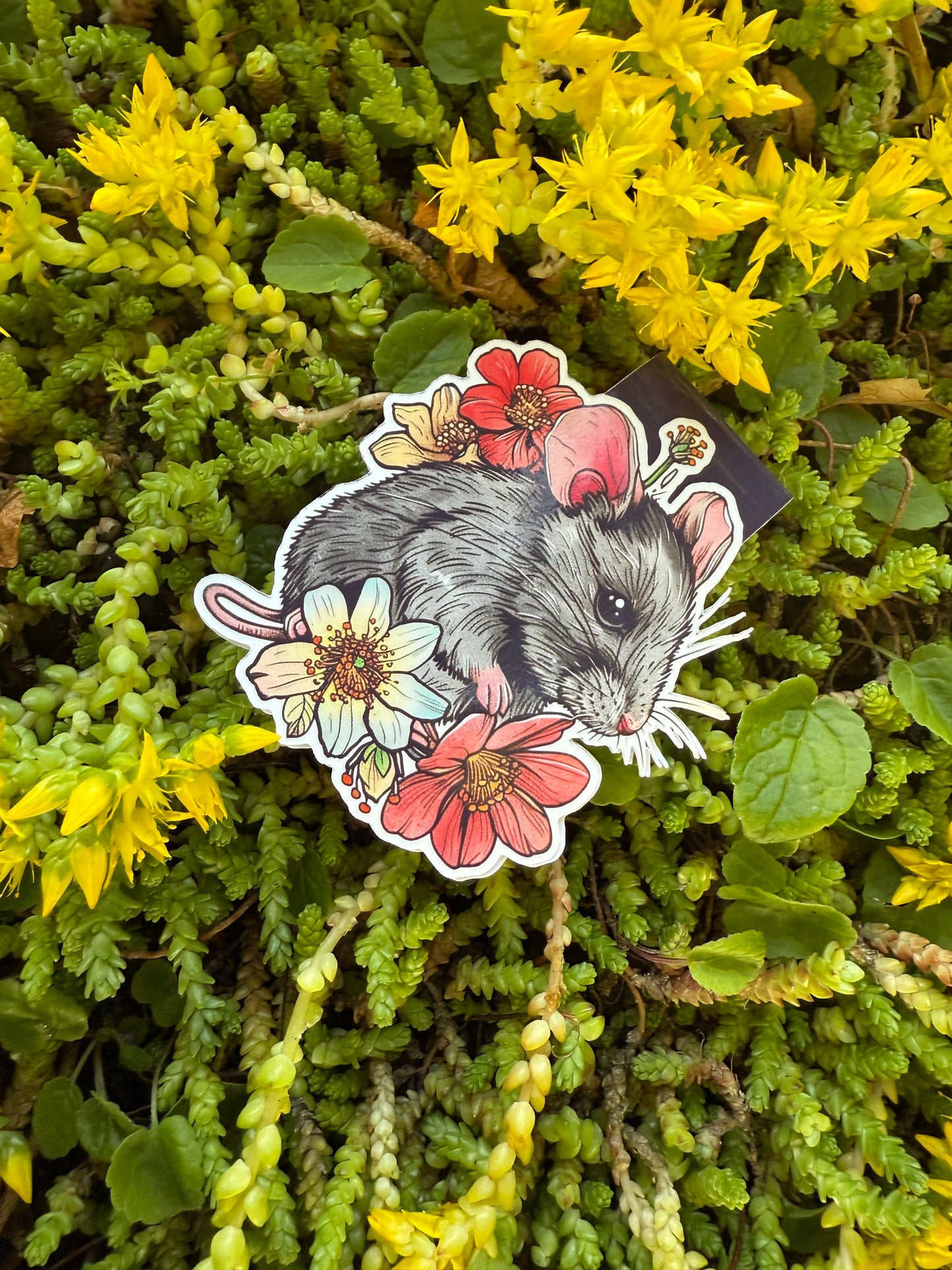 Magnetisk bokmärke Pip & Petal
