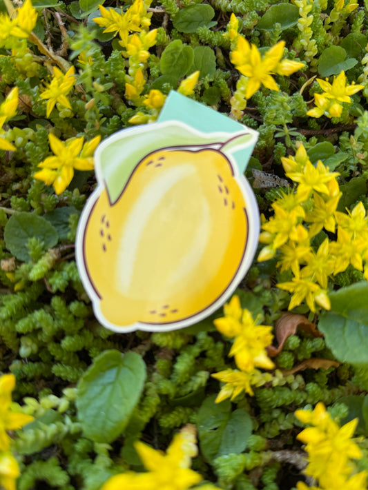 Magnetisk bokmärke Citron