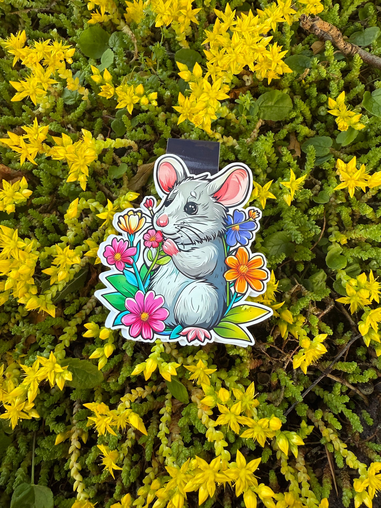 Magnetisk bokmärke Petals & Paws