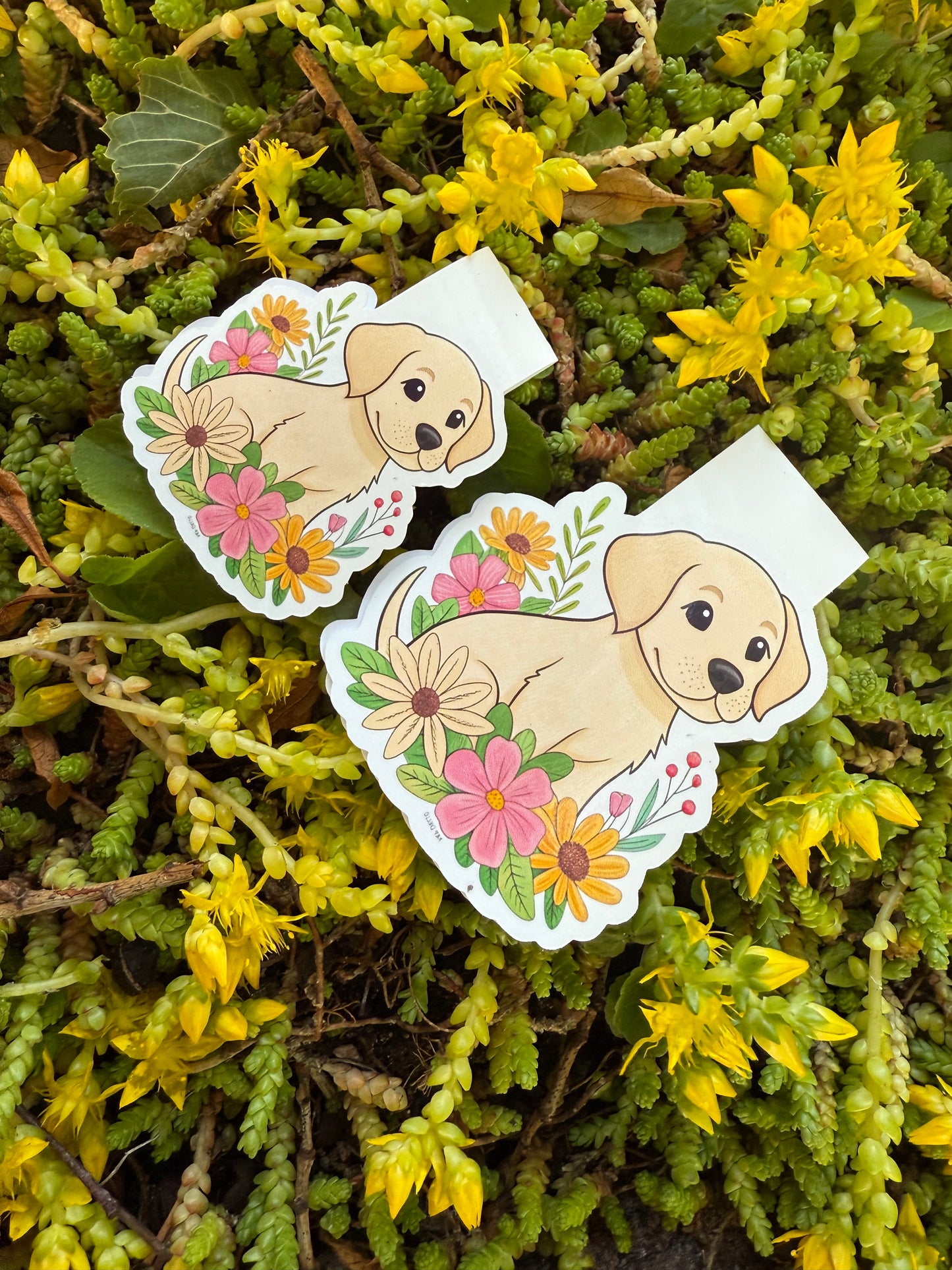Magnetisk bokmärke - flower pup